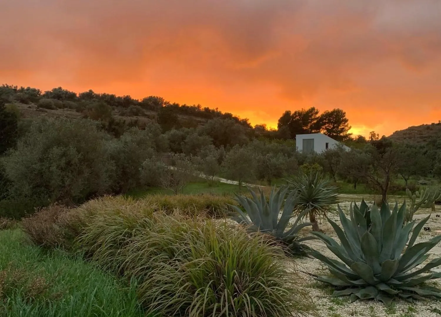 אבולה Amazing Property Of 2 Villas On A Land Sea View איטליה